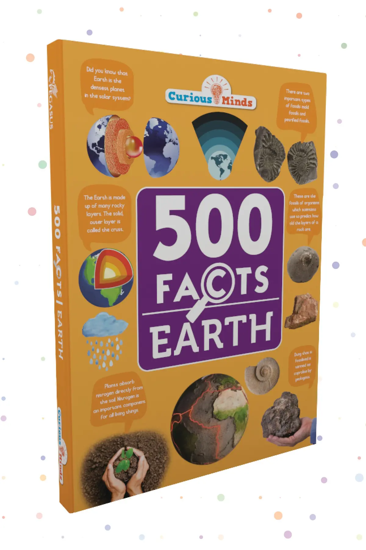 Pegasus Earth - 500 Facts For Kids 2