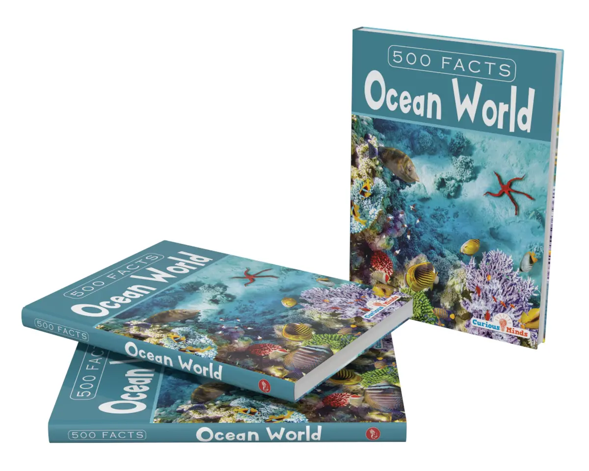 Pegasus Sea World -- 500 Facts For Kids 1