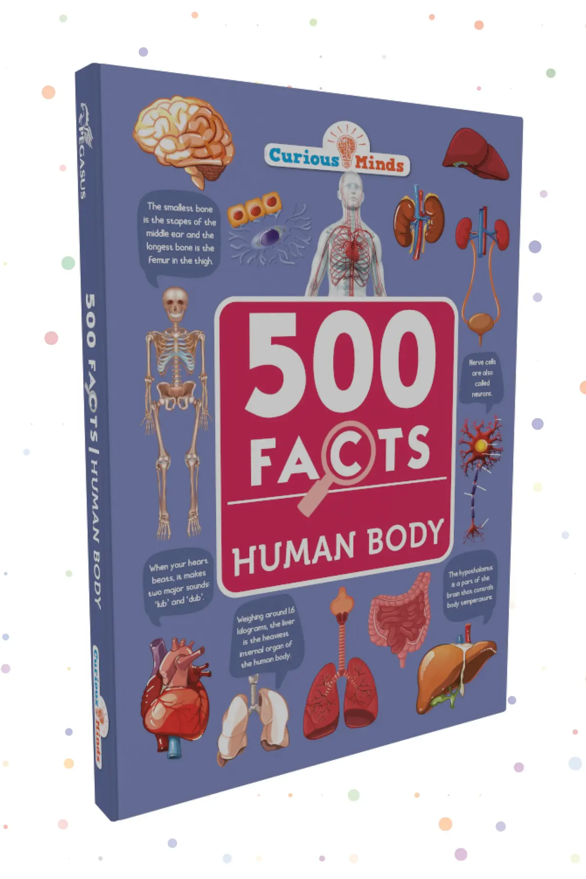 Pegasus Human Body - 500 Facts For Kids 2