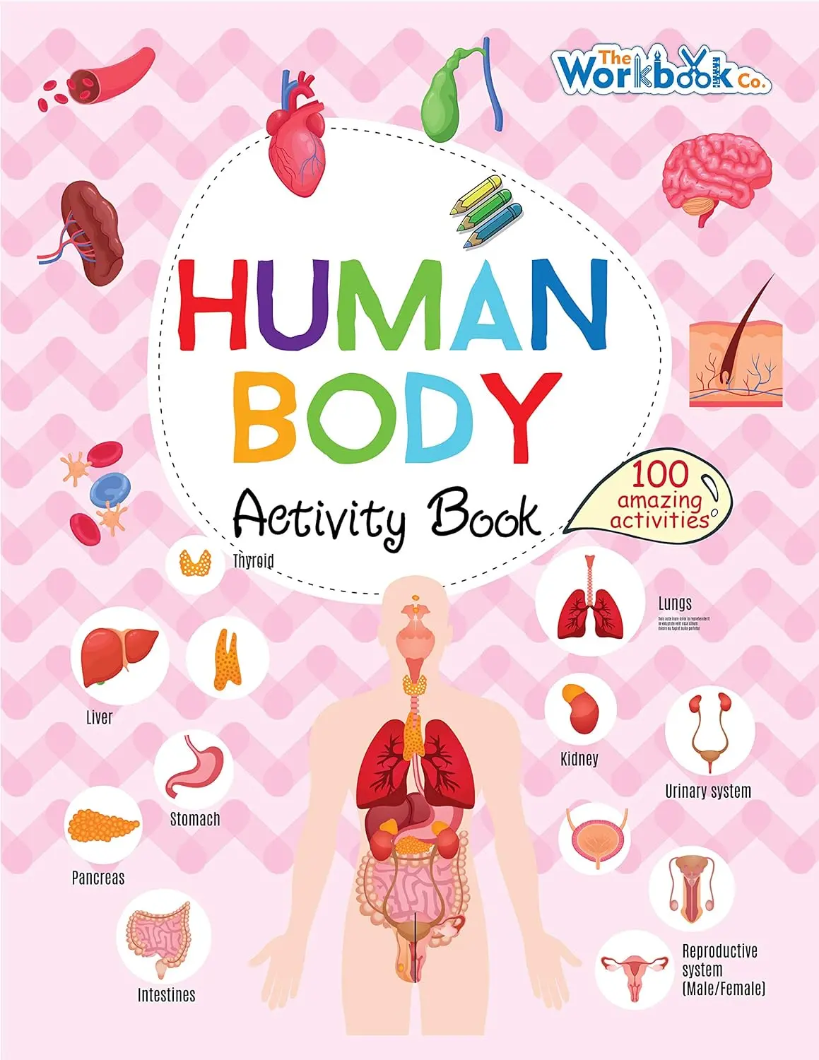 Pegasus Human Body Activity Book 1