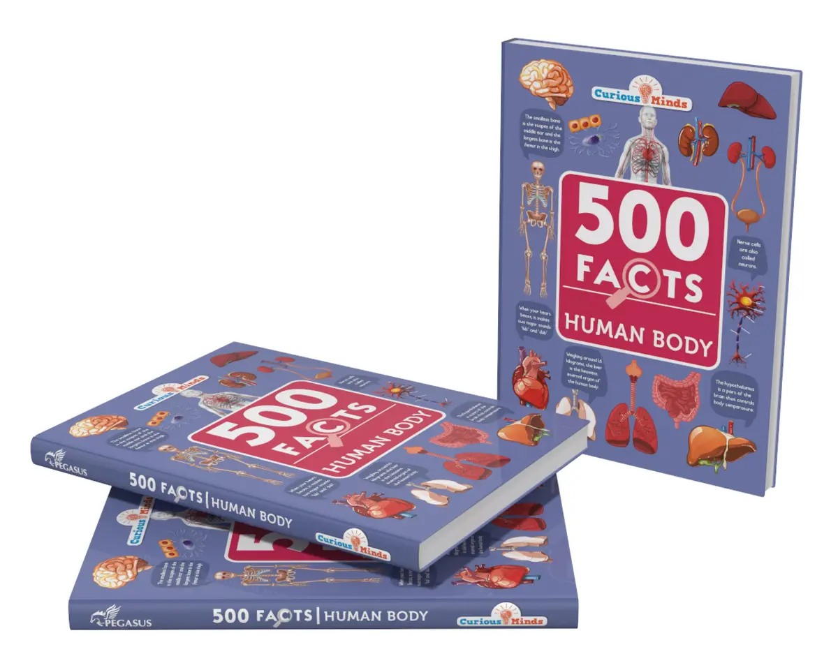 Pegasus Human Body - 500 Facts For Kids 1