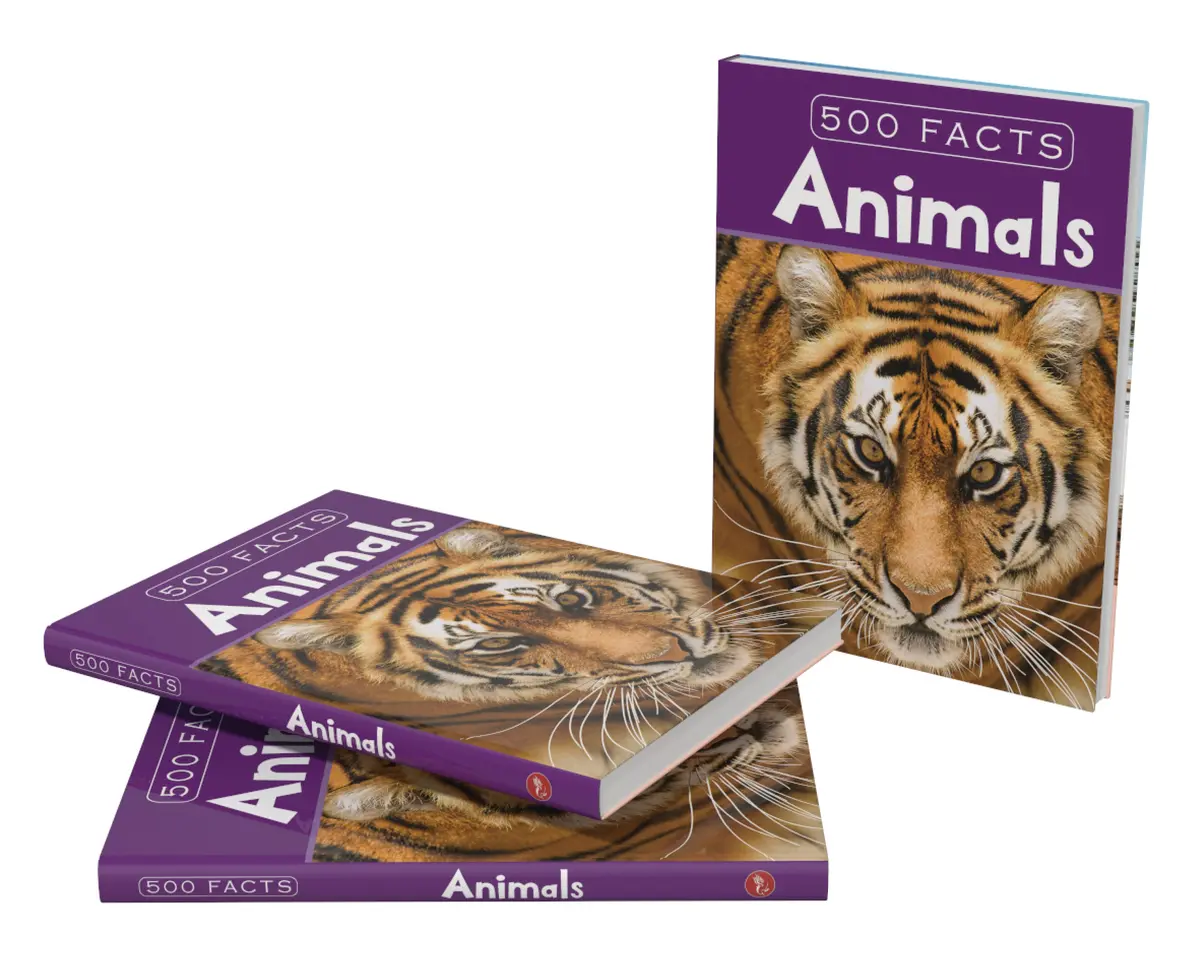 Pegasus Animals - 500 Facts For Kids 1