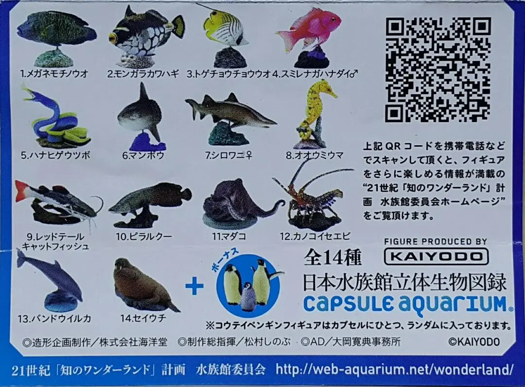 Kaiyodo 海洋堂 荒俣宏 日本水族館立體生物圖錄 第一彈 蘇眉魚 小丑砲彈 揚旛蝴蝶魚 側帶花鮨 五彩鰻 翻車魚 沙虎鯊 管海馬 紅尾鯰 巨骨舌魚 普通章魚 長足龍蝦 尖吻海豚 海象 連額外版 企鵝 扭蛋套裝 Aramata Hiroshi Capsule Aquarium Series 1 With Bonus Set (Buy) 1