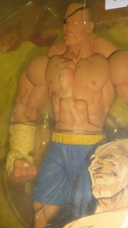 Sota Toys 街頭霸王 Street Fighter 15Th Round 1 Sagat Action Figure (Buy-00910) 2