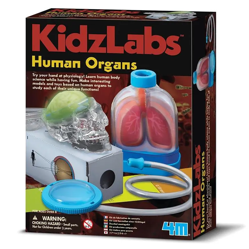 4M Kidz Labs - Human Organs 1