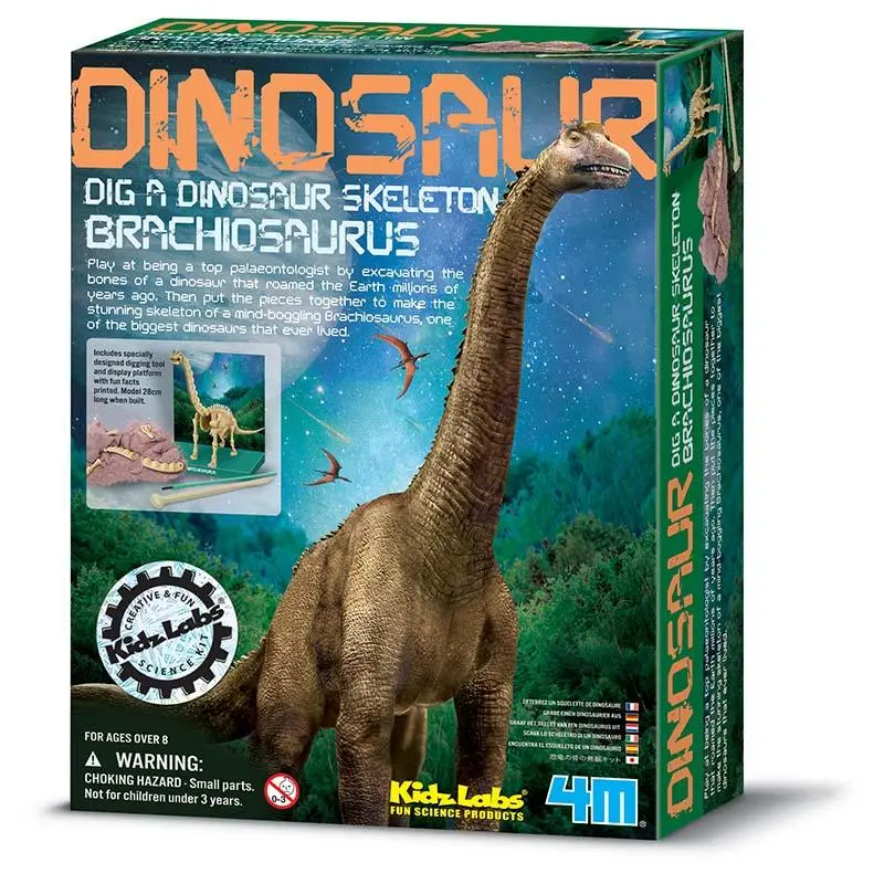 4M Kidz Labs - Skeleton Brachiosaurus 1