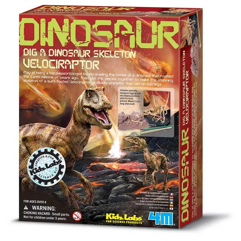 4M Kidz Labs - Velociraptor Skeleton 1