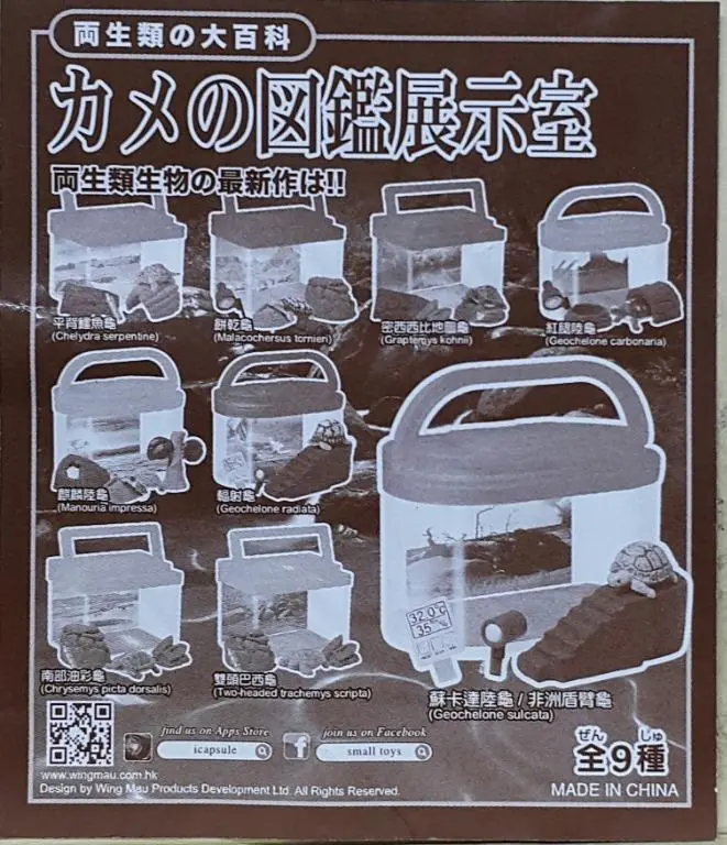 再生類之大百科 11009 龜之圖鑑展示室 平背鱷魚龜 餅乾龜 密西西比地圖龜 紅腿陸龜 麒麟陸龜 輻射龜 南部油彩龜 雙頭巴西龜 蘇卡達陸龜 非洲盾臂龜 扭蛋套裝 (Buy-Cw) 1