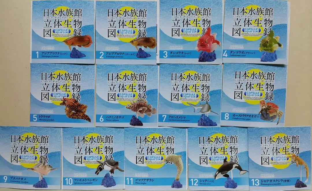 Kaiyodo 海洋堂 荒俣宏 日本水族館立體生物圖錄 第三彈 龍吐珠 雀魚 豹紋海鱔 獅子魚 短尾真鯊 澳洲皇帝蟹 豬鼻龜 洪氏環企鵝 斑海豹 虎鯨 殺人鯨 藍鯨(骨格) 扭蛋套裝 Aramata Hiroshi Capsule Aquarium 3 Set (Buy) 2