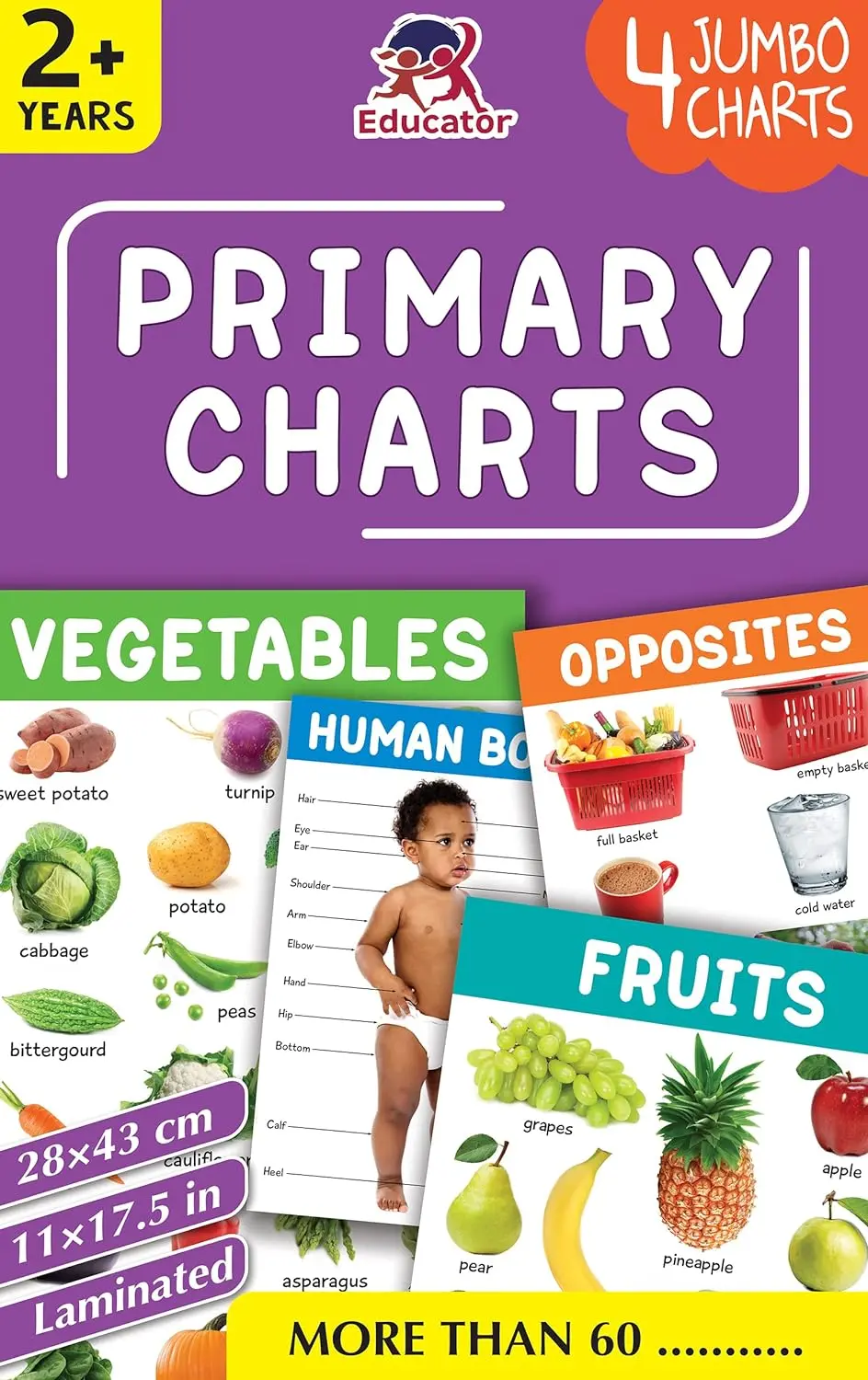 Pegasus Primary Charts - 4 Jumbo Charts For Kids 1