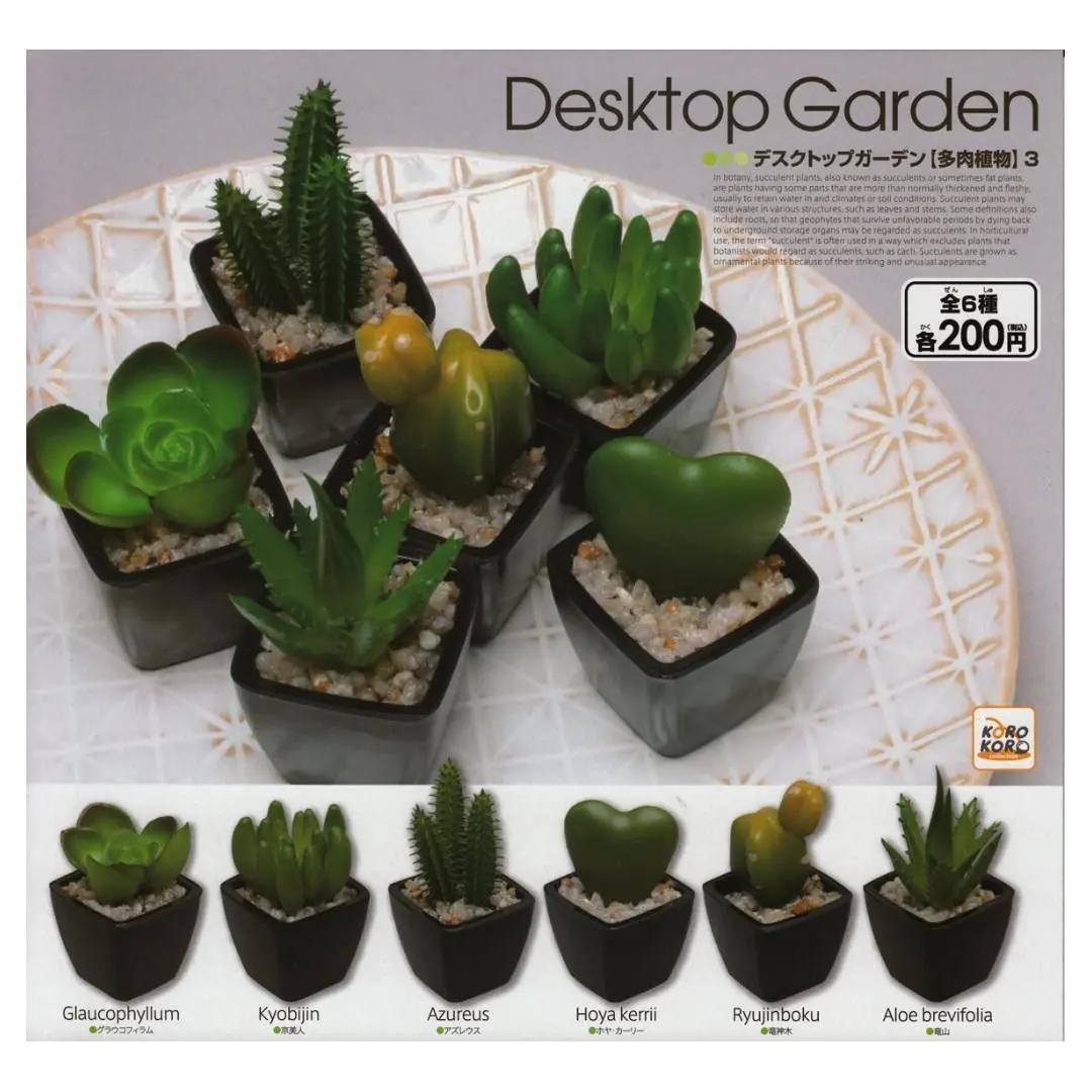 Koro 01060 桌上仿真盆栽 多肉植物 第三彈 扭蛋套裝 Desktop Garden Succulent Plant 3 Set (Buy-Spk) 存 1