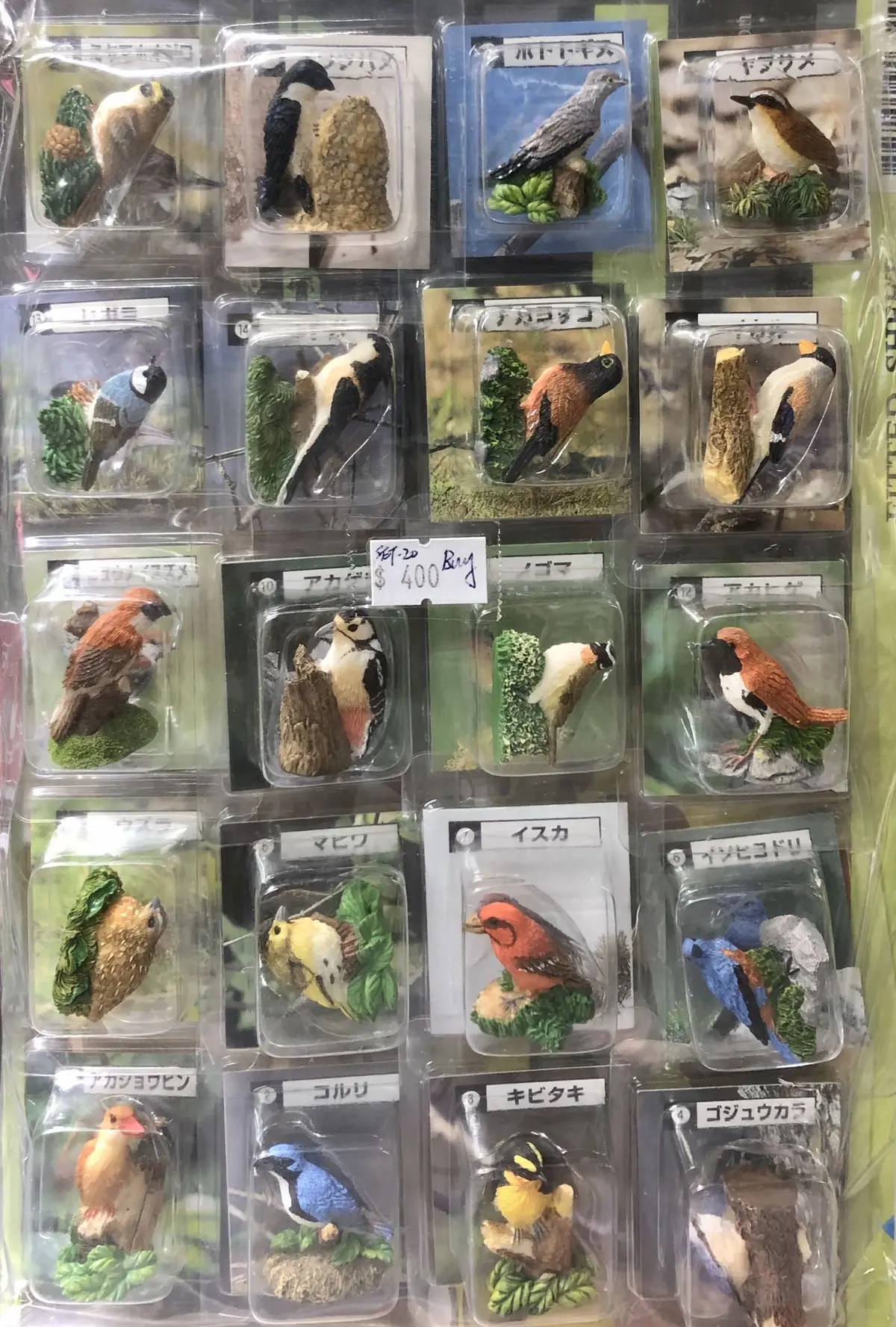 小鳥 夏鳥 冬鳥 留鳥 20款 (Buy) 1