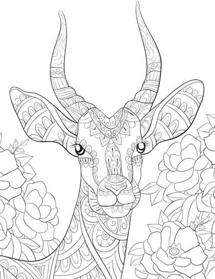 Dreamland Wilderness Colouring Book - A Drawing Painting & Colouring Book For Adults (English) 2
