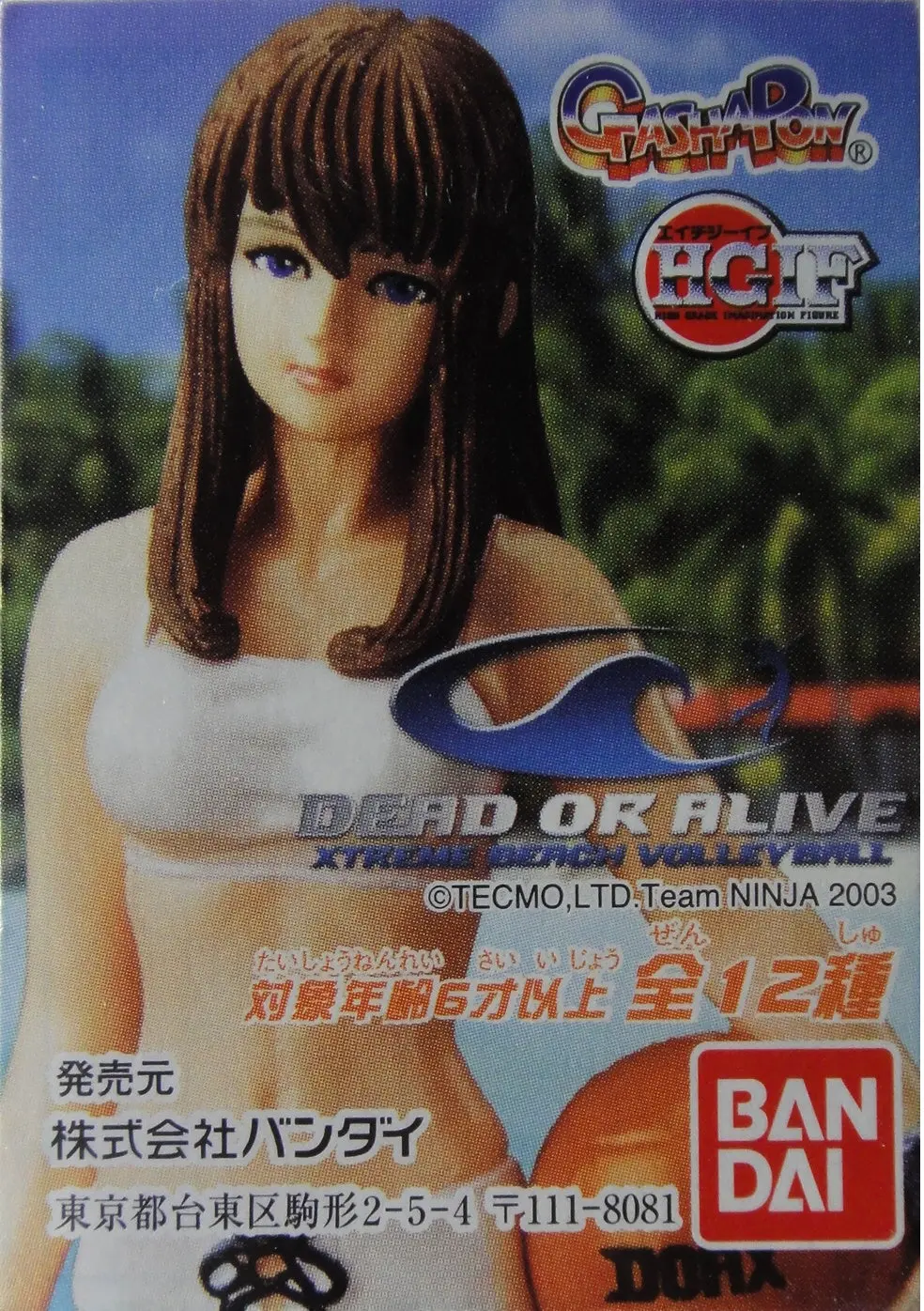 Bandai Hg 生死格鬥 沙灘排球 Dead Or Alive Xtreme Beach Volleyball Gashapon 全12種 扭蛋 118141 (Piu-30) B26242042 1