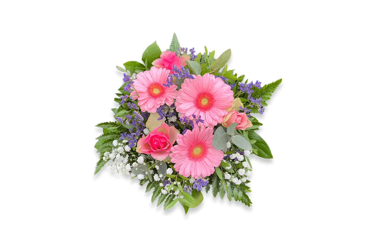 Schnittblumen - Germini Strauß Rosa Blütentraum 1
