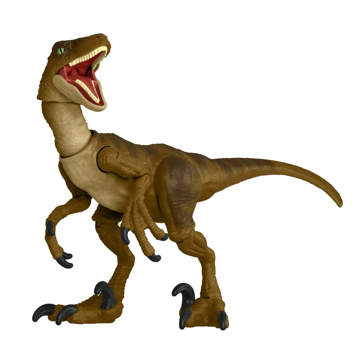 Jurassic World Hammond Collection Velociraptor Dinosaur Figure For Ages 8+ 1