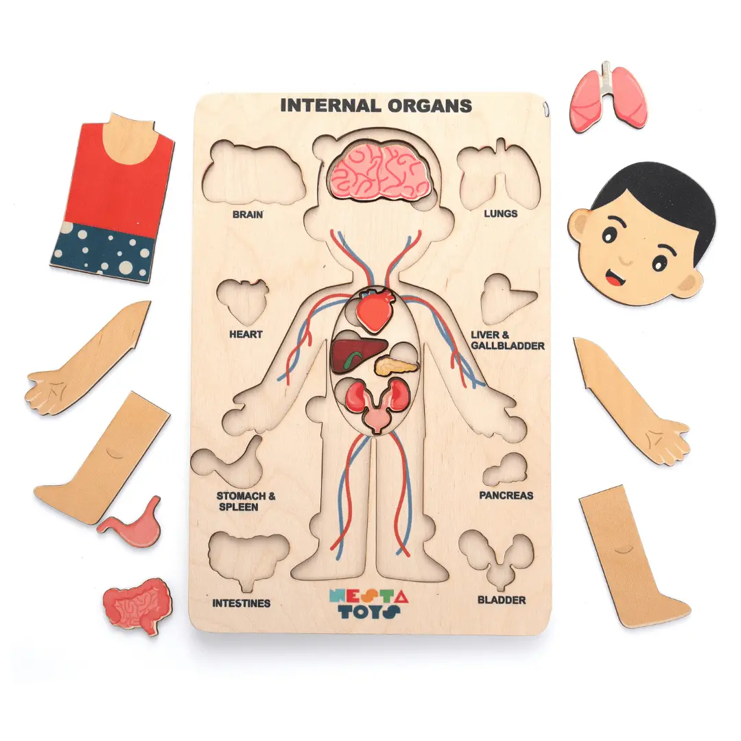 Nesta Toys Wooden Human Body Anatomy Puzzle 14 Pcs - Montessori Puzzle For Preschoolers And Kids Ages 3+ 1