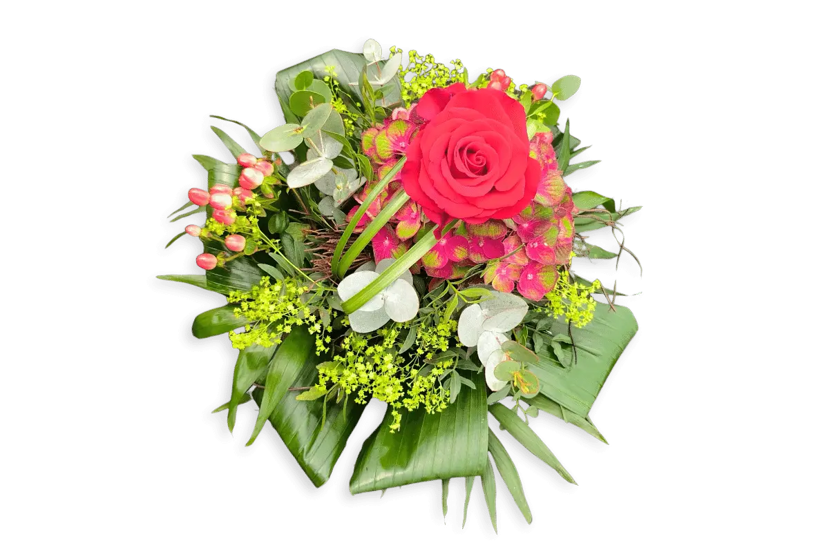 Schnittblumen - Hortensienliebe Mit Roter Rose 1