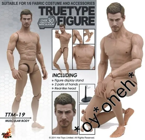 1:6 Hot Toys Ttm19 Ttm 19 Truetype Body (Muscular Body) (Piu275) B28735068 1