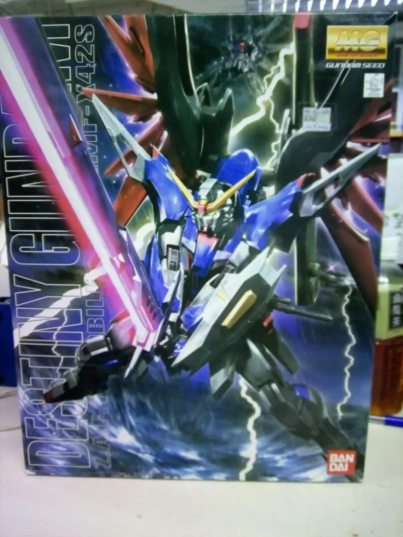 高達模型 命運高達 1/100Mg  未開內袋 Seed Destiny  Bandai 51243 1