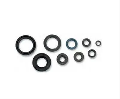 Cometic Powersports Oil Seal Kit C7853Os 1
