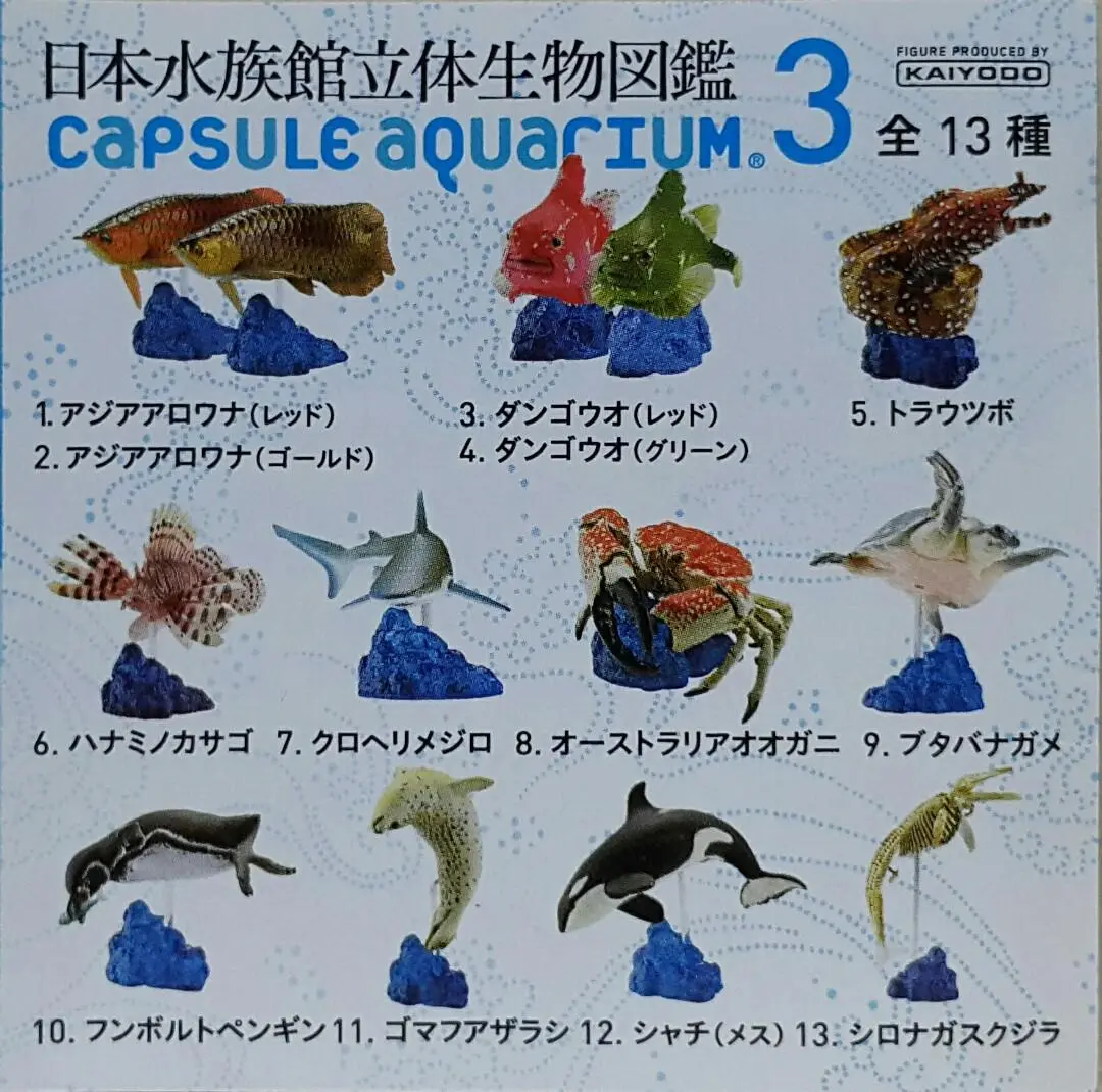 Kaiyodo 海洋堂 荒俣宏 日本水族館立體生物圖錄 第三彈 龍吐珠 雀魚 豹紋海鱔 獅子魚 短尾真鯊 澳洲皇帝蟹 豬鼻龜 洪氏環企鵝 斑海豹 虎鯨 殺人鯨 藍鯨(骨格) 扭蛋套裝 Aramata Hiroshi Capsule Aquarium 3 Set (Buy) 1