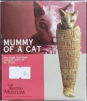 Kaiyodo 大英博物館 貓女神 芭絲特 貓木乃伊 The British Museum No.4 Mummy Of A Cat Ea 37348 (Buy) 1