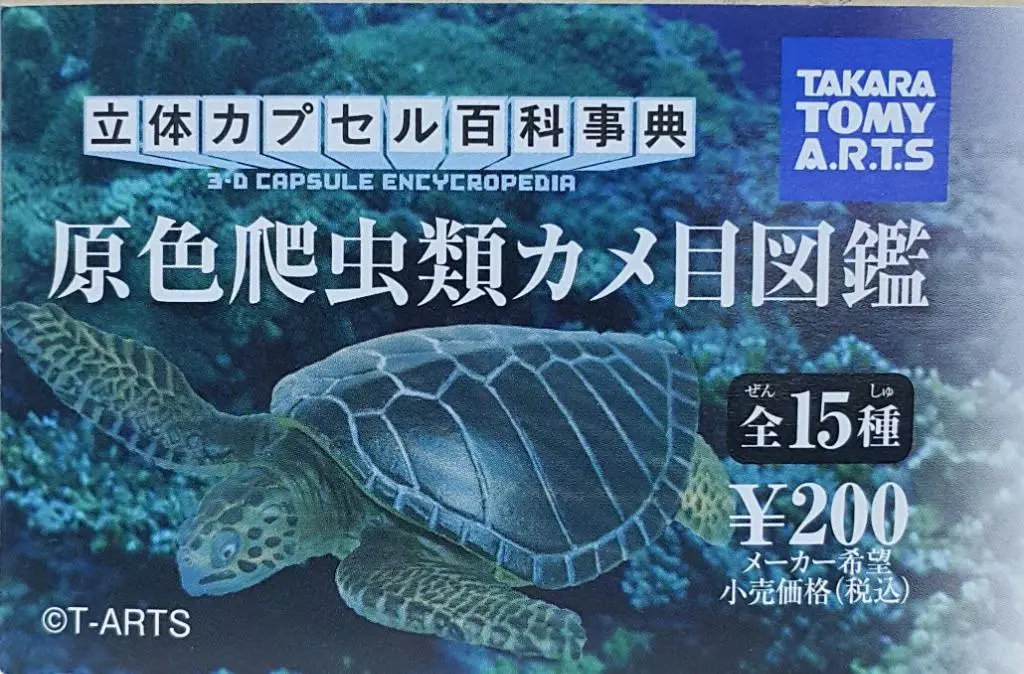 Takara Tomy Arts 81221 3D Capsule Encyclopedia Original Color Reptile Turtle Picture Book 立體扭蛋百科事典 原色爬虫類龜科圖鑑 扭蛋套裝 全15種 (Buy-Cw) 1