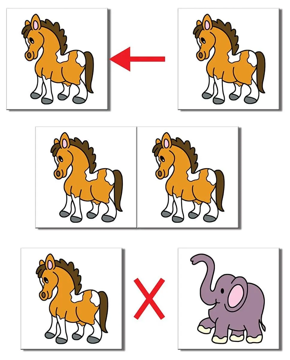 Frank Pairs A Memory Game 48 Cards For Ages 3 & Above 2