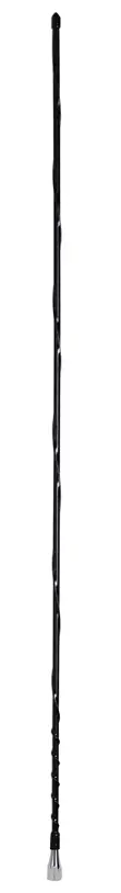 Anb10 Am/Fm Radio Fiberglass Antenna 1