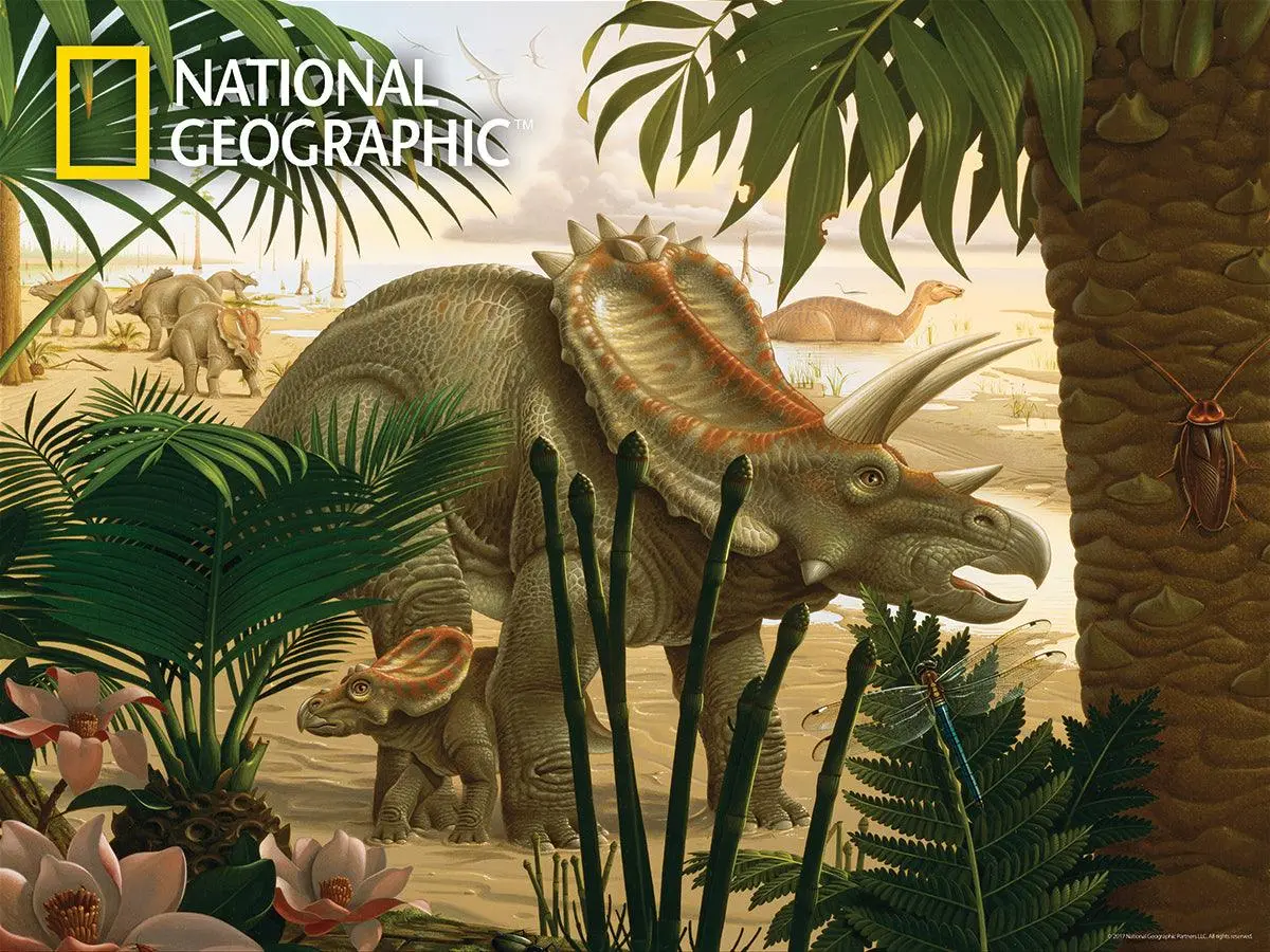 Prime 3D National Geographic Stenonychosaurus Super Puzzle (500 Pieces) 1