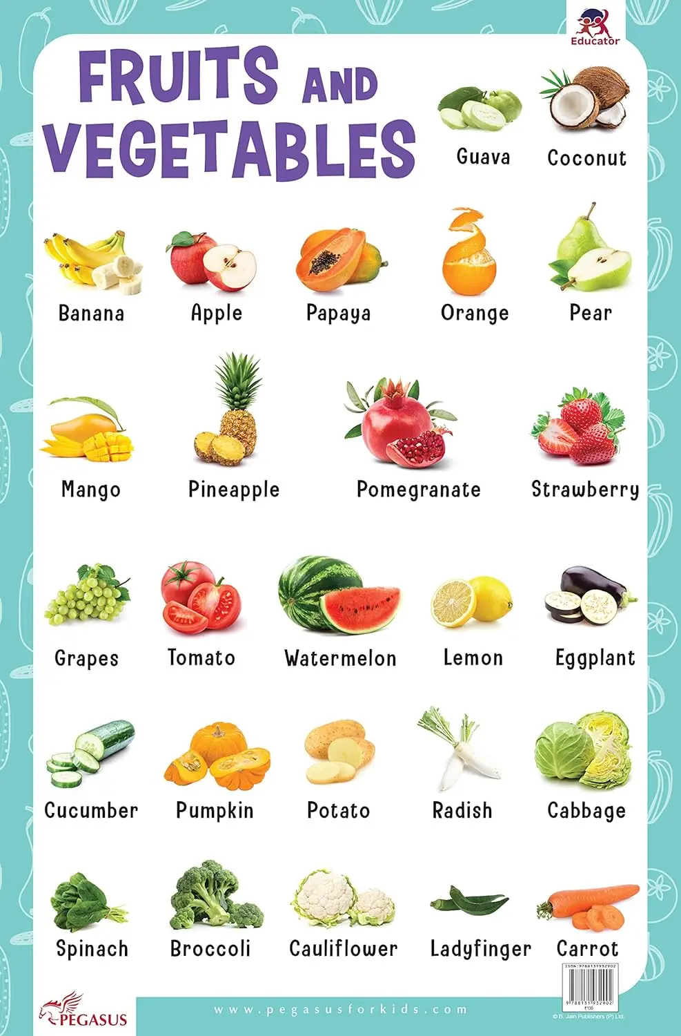 Pegasus Fruits & Vegetables - Thick Laminated Preschool Chart 1