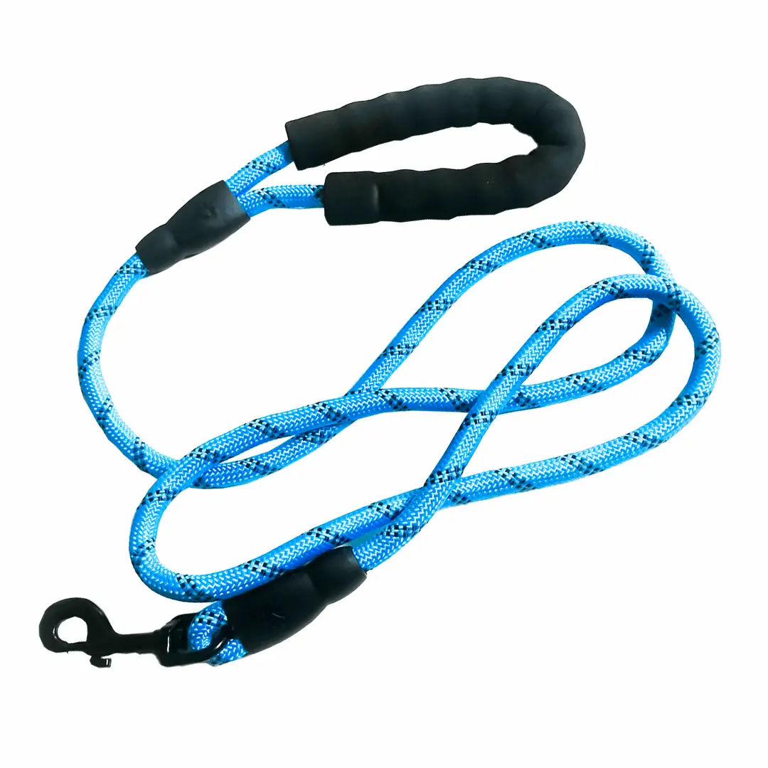 Nylon Dog Leash 160Cm | Padded Handle 1