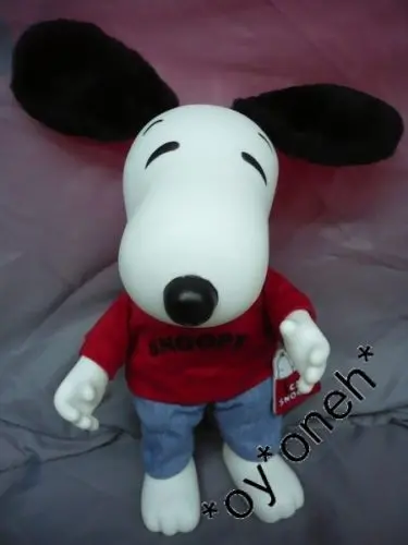 Peanuts Snoopy Camp Snoopy Parks Cedar Fair Doll 花生漫畫 史諾比 史奴比 公仔 1