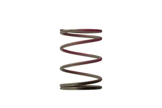 Turbo Wastegate Adjustment Spring – 2006 Psi (Ts-0505-2006) 1